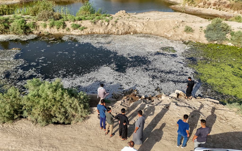 العراق يواجه أسوأ جفاف منذ 80 عاما