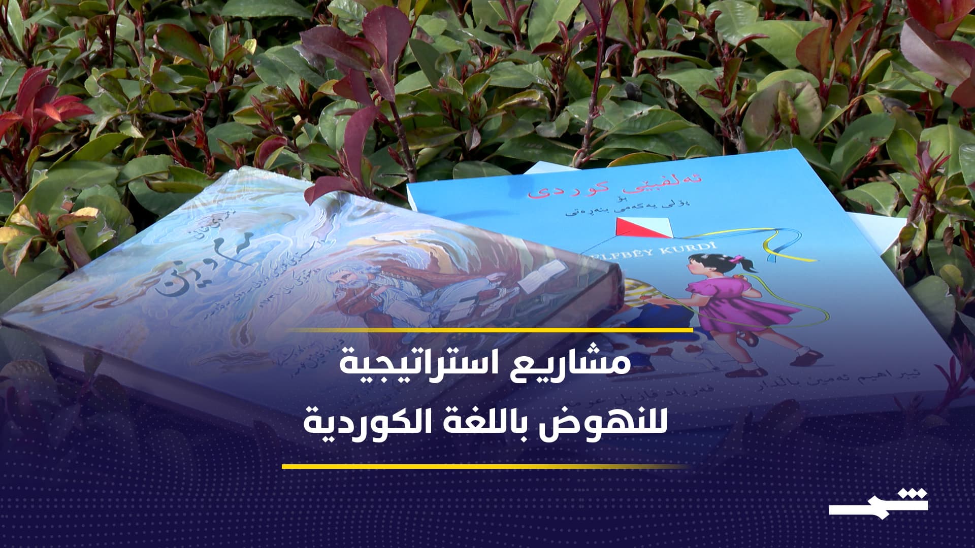 سبعة مشاريع استراتيجية لتقنين الكوردية وتعزيز حضورها دوليا