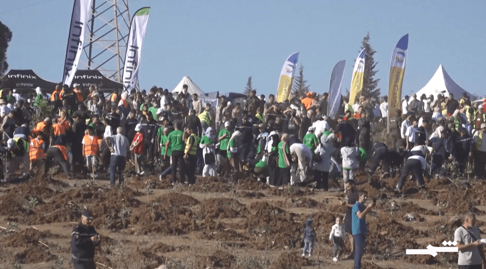 الجزائر تزرع أكثر من مليون شجرة في يوم واحد