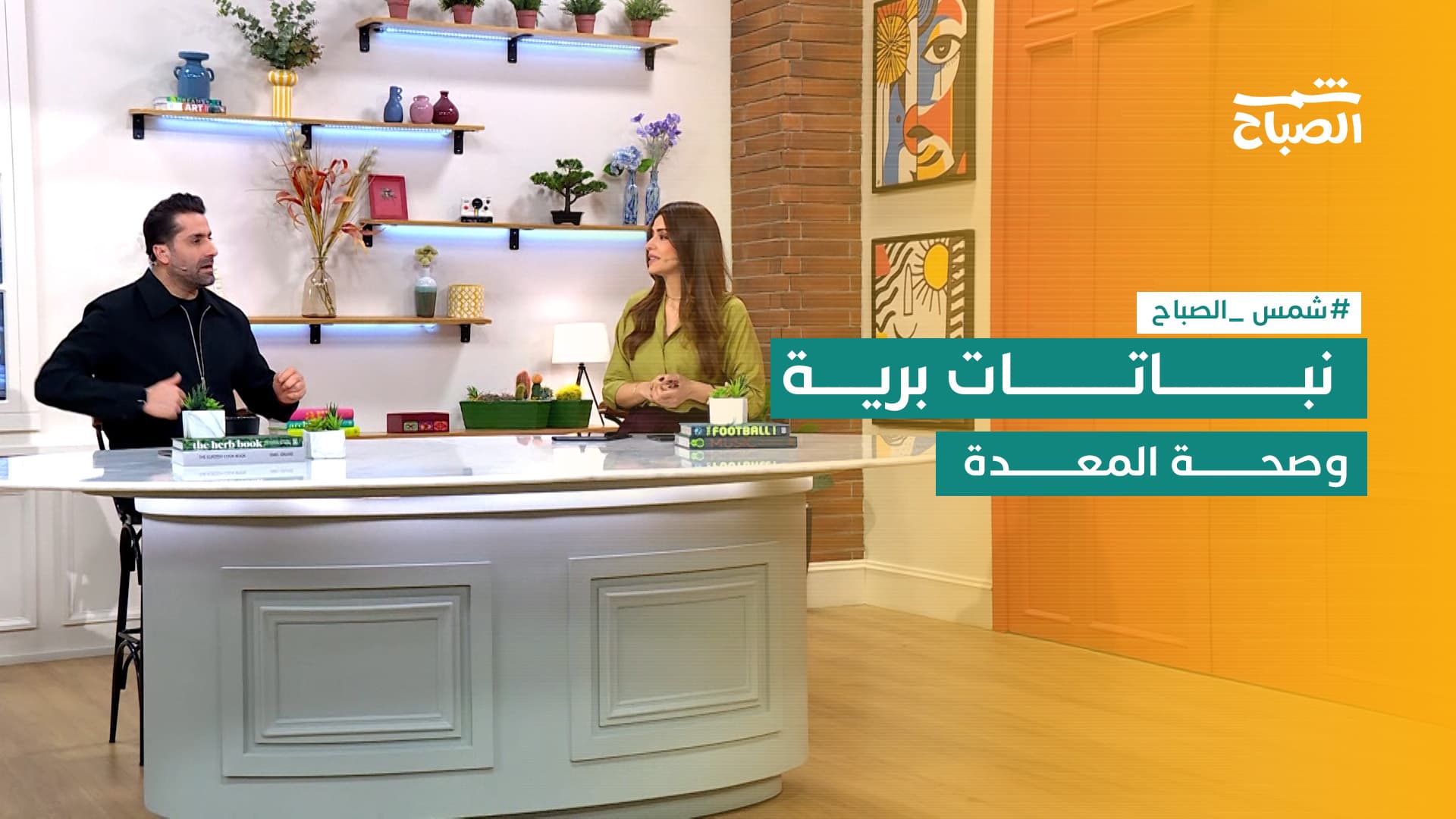 شمس الصباح | نباتات برية.. صحة المعدة.. التحولات الصغيرة.. تقييد الطاقة