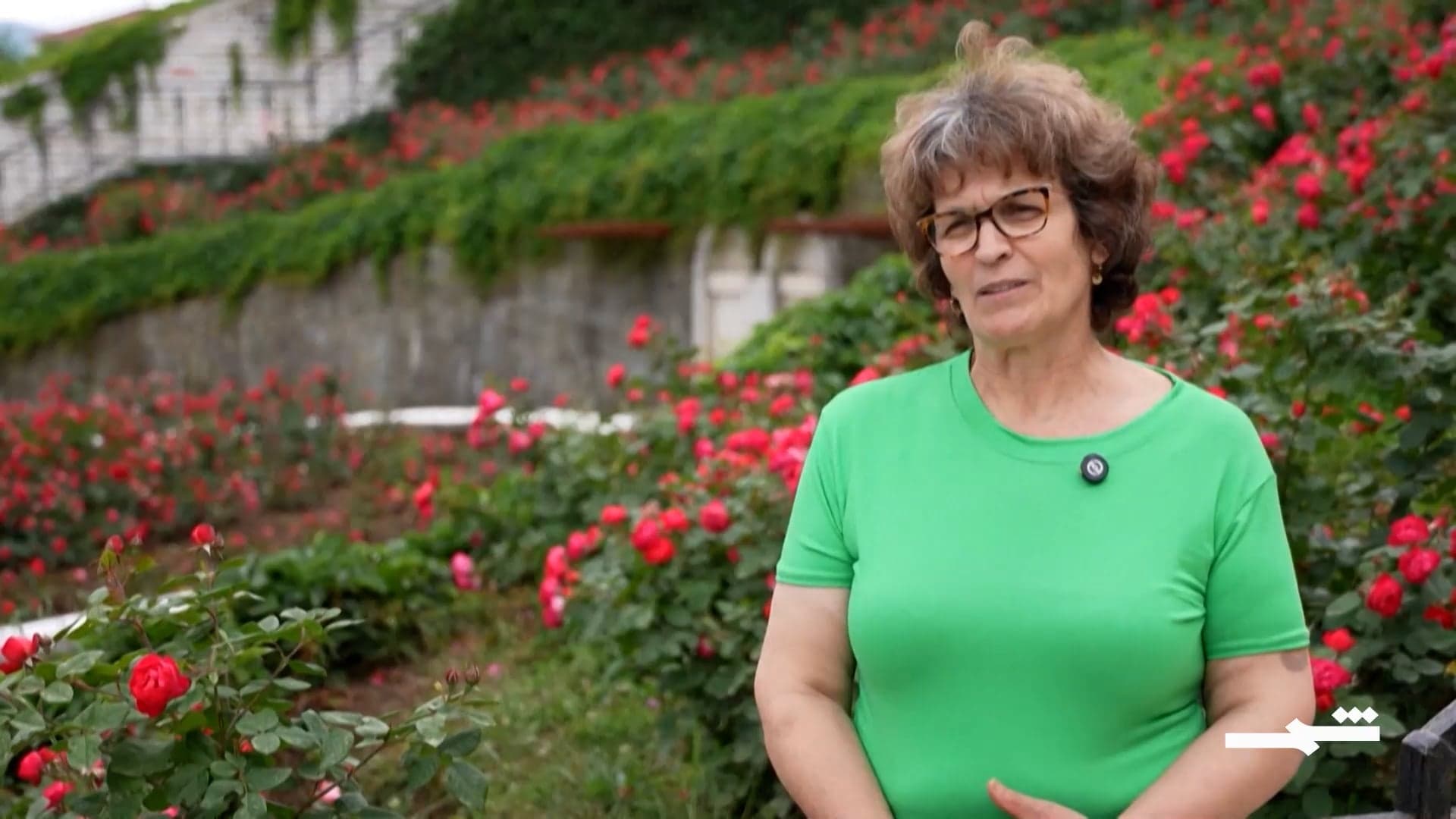 مدينة صغيرة بألبانيا تقطّر الزهور للصناعات التجميلية