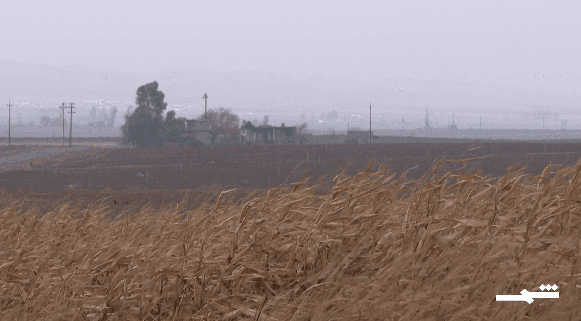 كركوك.. قيود تمنع الفلاحين الكورد من الزراعة وتسويق المحاصيل