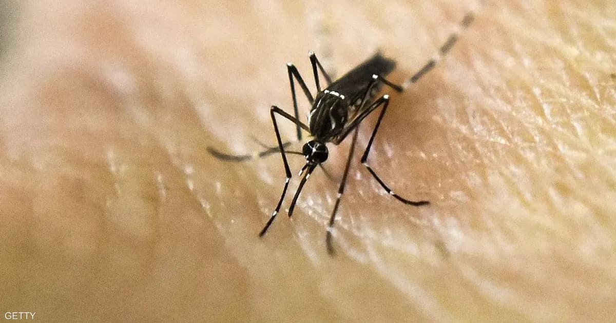 الولايات المتحدة تعلّق ترخيص بيع لقاح شيكونغونيا... السبب؟