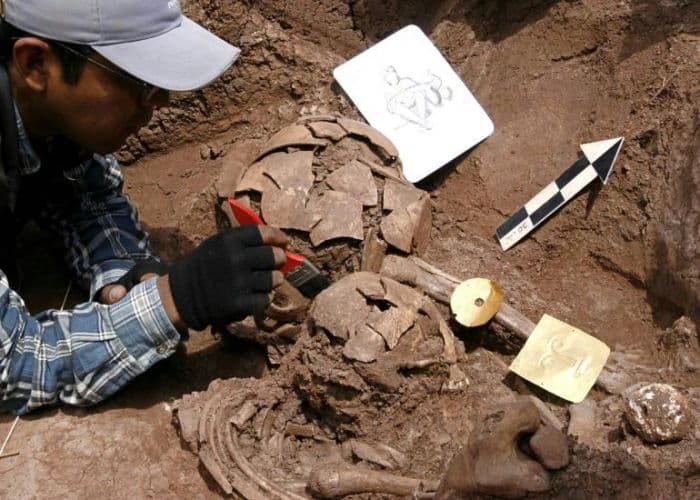 جمجمة عمرها مليون سنة توفر معطيات جديدة عن مراحل التطور البشري
