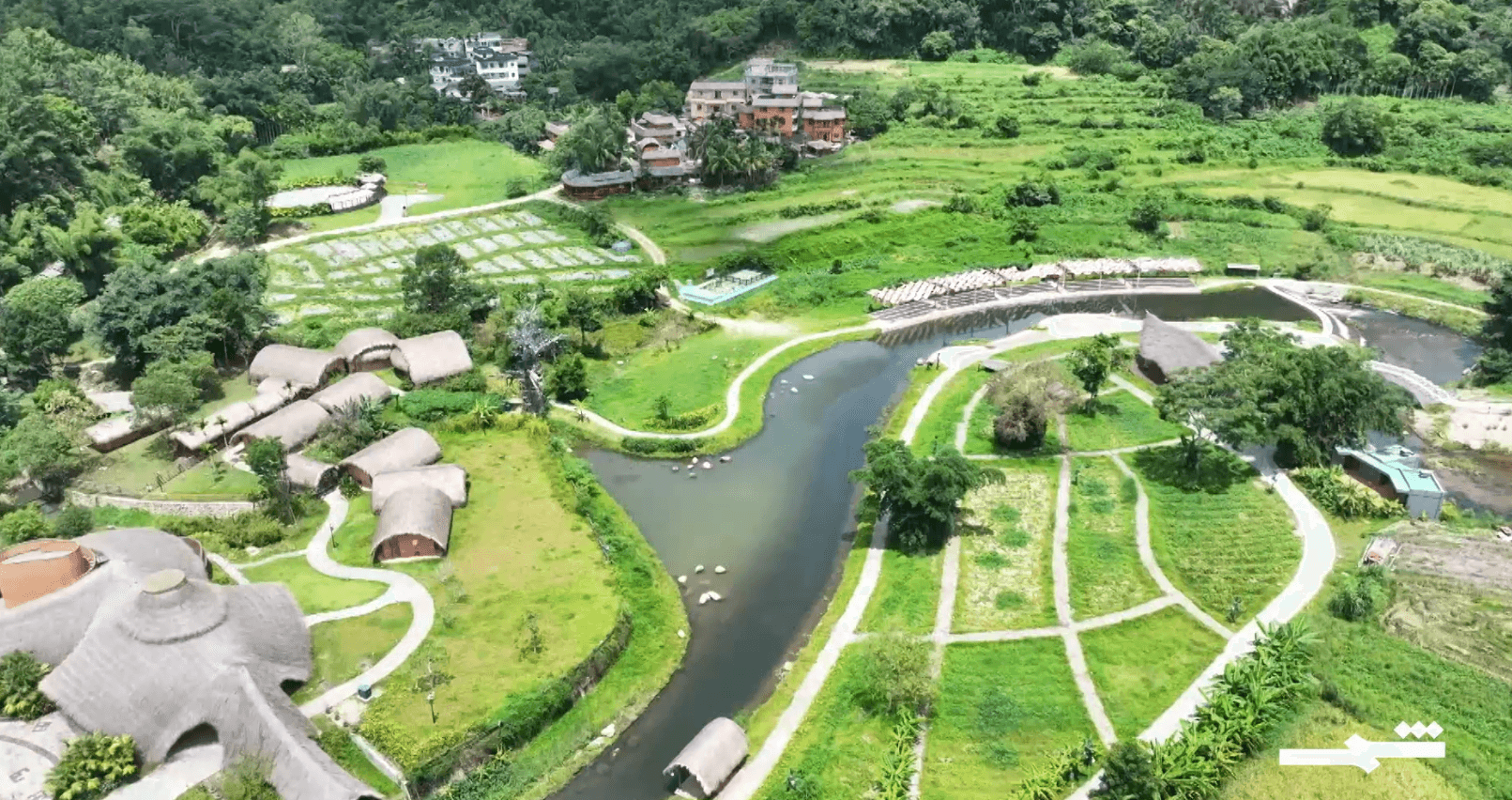 ماونا الصينية تطور صناعة الشاي بطرق مستدامة