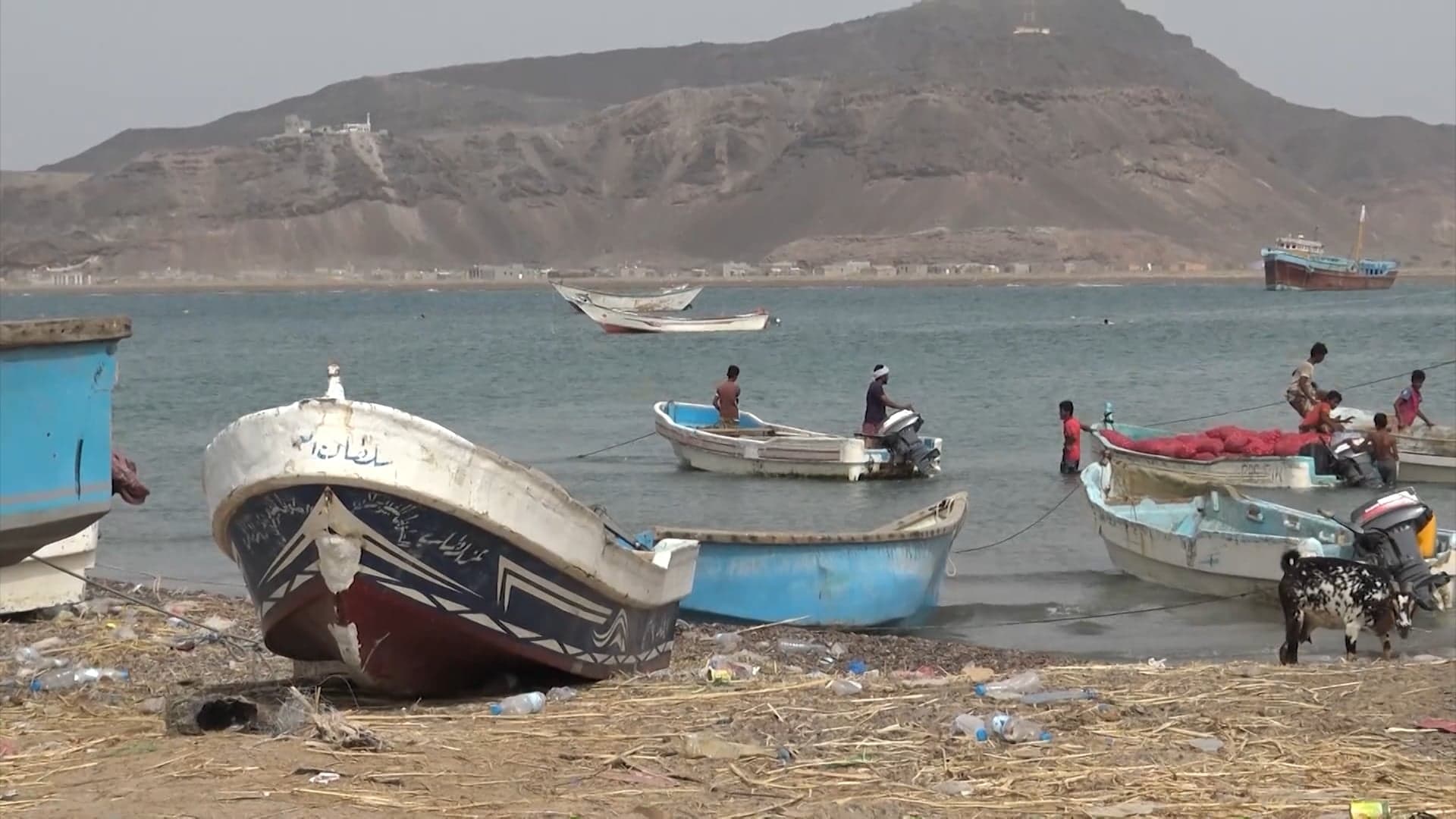 مئات المهاجرين الأفارقة يخاطرون بحياتهم  على السواحل اليمنية
