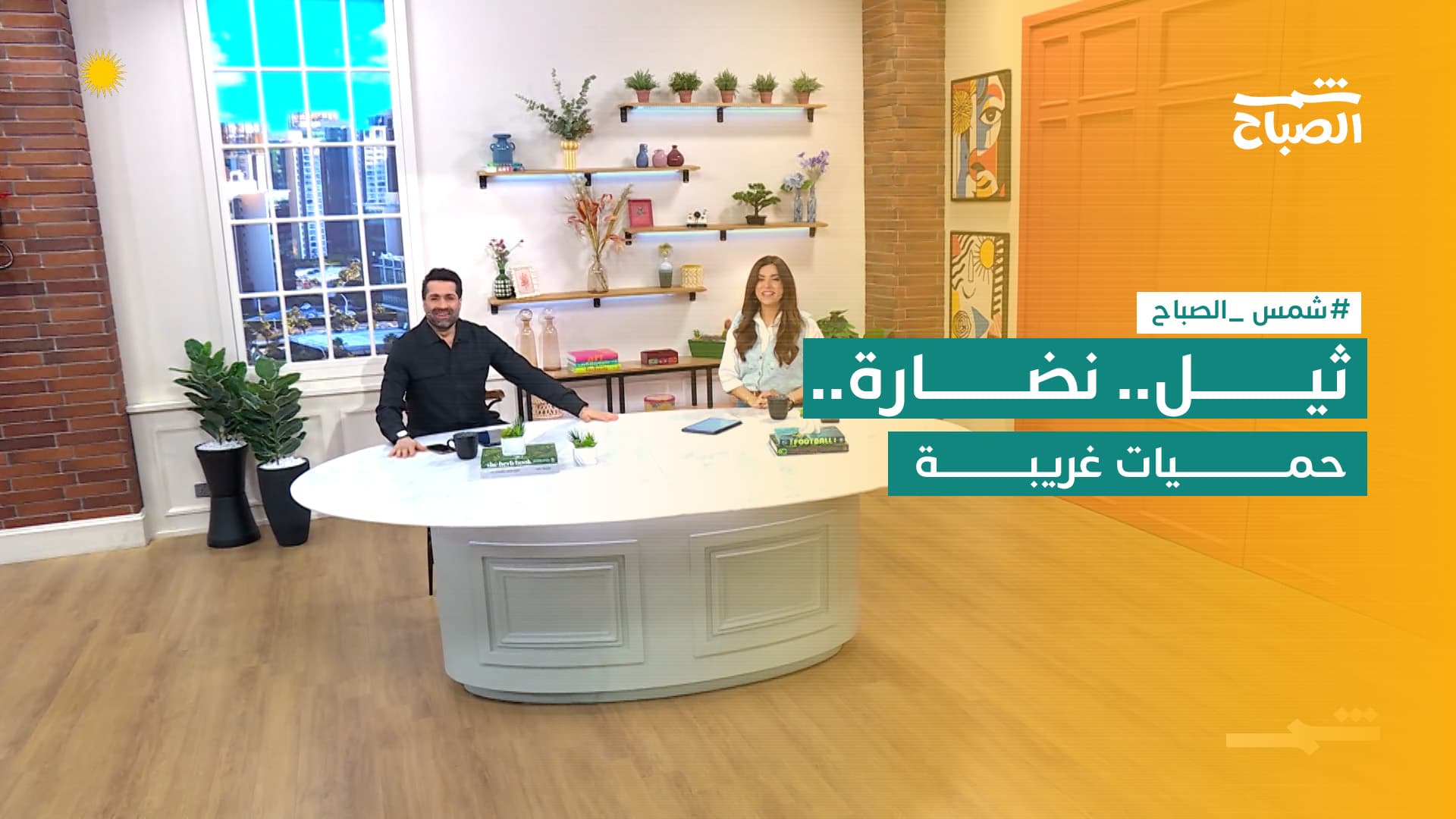 شمس الصباح | الثيل.. إبر النضارة.. اليقظة الذهنية.. وحقن القطط